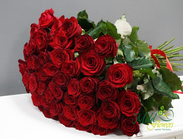 Роза красная голландская 60-70 cм(под заказ 5 дней) Фото